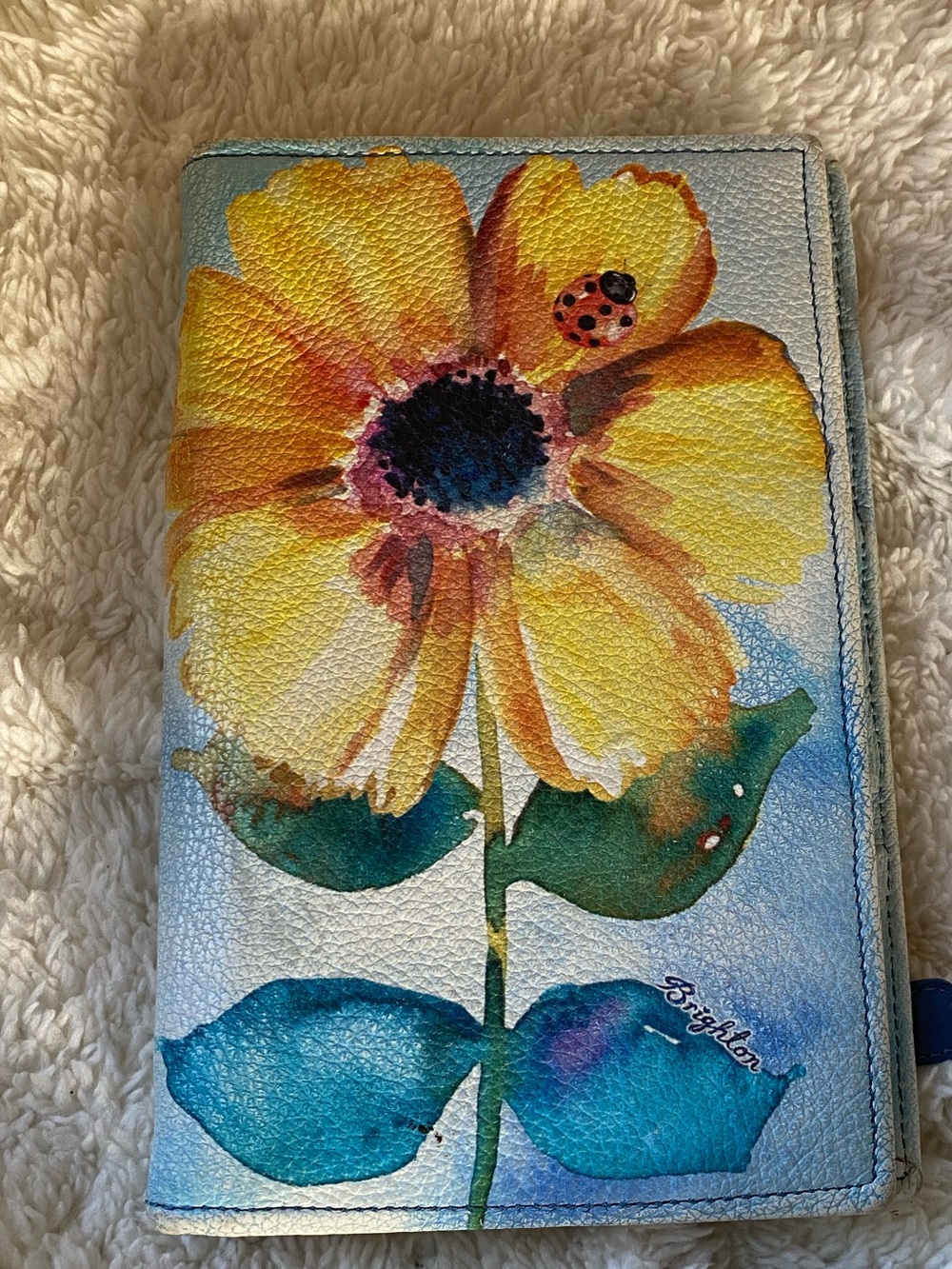 Brighton beautiful wallet with dust cover….
